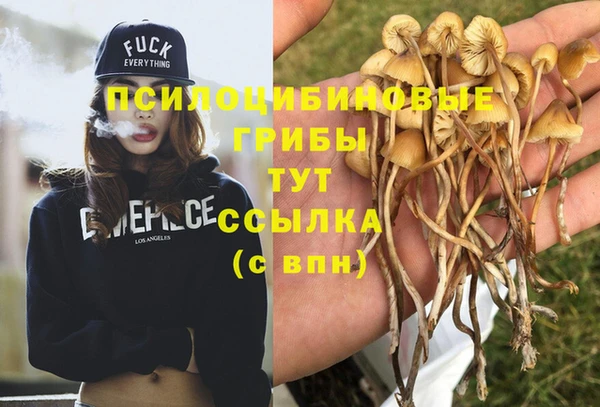 а пвп мука Алексеевка