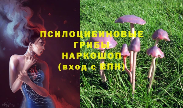 бошки Алзамай