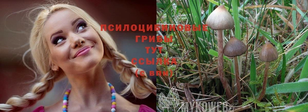 эйфоретик Алексин