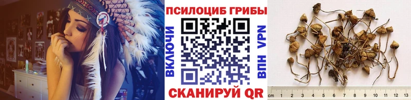 Галлюциногенные грибы MAGIC MUSHROOMS  мориарти телеграм  Фёдоровский  купить наркотик 